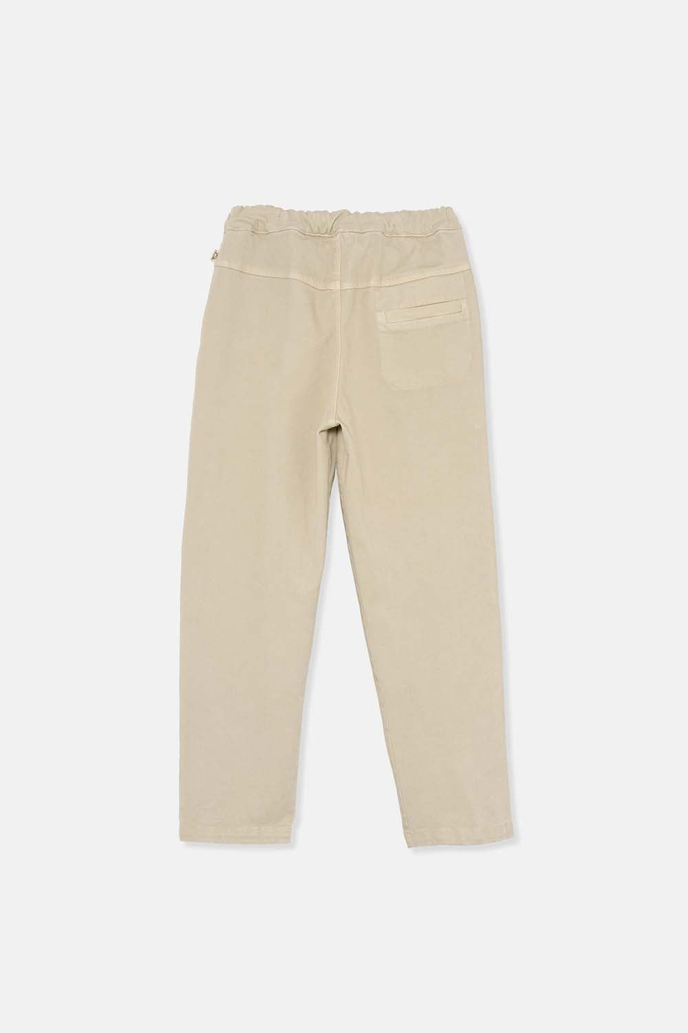 Brushed Twill Pants