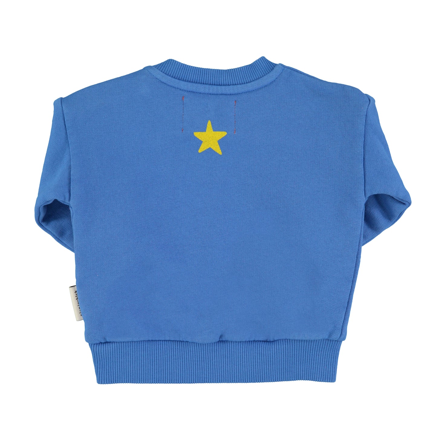 Sweatshirt | Blue w/ “Fantastic” Print