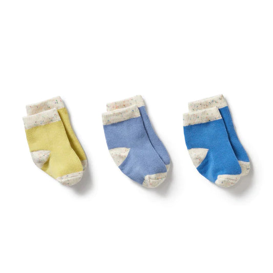 Organic 3 Pack Baby Socks - Endive, Bluebell, Blue