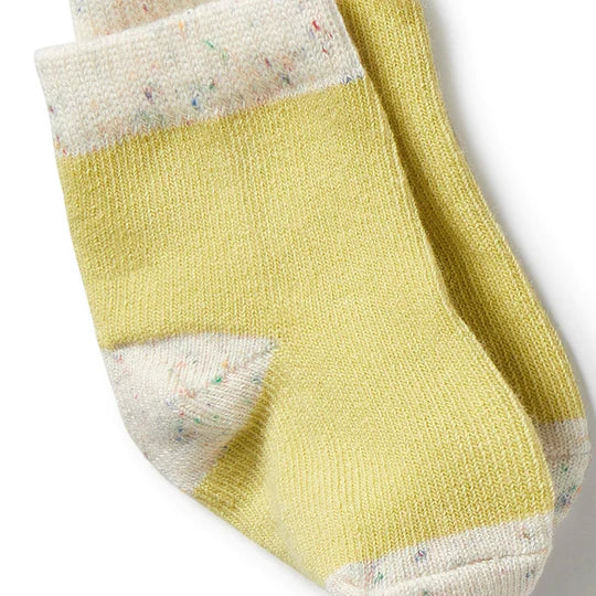 Organic 3 Pack Baby Socks - Endive, Bluebell, Blue