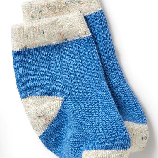 Organic 3 Pack Baby Socks - Endive, Bluebell, Blue